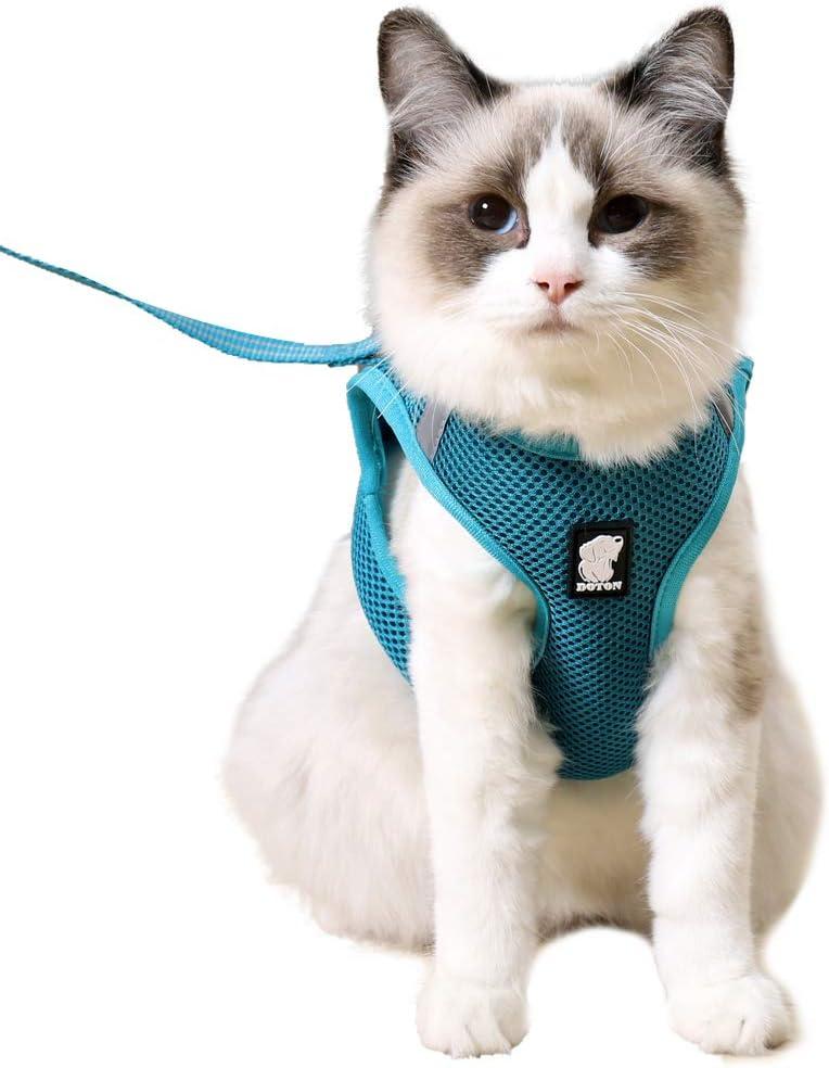 HEYWEAN Cat Harness and Leash - Ultra Light Escape Proof Kitten Collar Cat Walking Jacket with Running Cushioning Soft and Comfortable Suitable for Puppies Rabbits (Large, Turquoise)