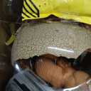 Jurassic World Interactive Toy Dinosaur & Egg, Hatch & Train Your own Baby Dino with 100+ Sounds & Reactions, Kids Toys for Boys & Girls Aged 5 & Up (Multi Color)