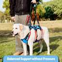 Dog Lift Harness for Large Dogs, Full Body Support Sling with 3 Handles and Shoulder Strap, Carrying Vest for Senior Dogs with Arthritis or Joint Injuries, Stairs Assistance, Blue, X-Large