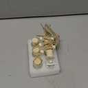 AROIC 6 Pack Car Air Freshener Hanging, New Car Scent Natural Plant Essential Oil Fragrance Diffuser, Unisex Air Freshener Aromatherapy Effectively Eliminates Odors Long-Lasting Fresh Scent (8ml Each)