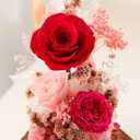 Valentines Day Flowers Gifts for Women,Forever Real Preserved Roses in Glass Dome,Valentines Day Roses Gifts for Her Wife Women Best FriendPink