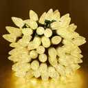 C9 Led Christmas Lights Outdoor Christmas Decorations Commerical Grade 50Led 33ft Christmas Tree Lights Set for Indoor Outdoor Wedding, Holiday, Party, Home Christmas Decorations(WarmWhite)