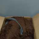 Large Area Rugs for Living Room Bedroom, 4x6 Feet Brown Fluffy Shag Rugs, Ultra Soft Shaggy Plush Fuzzy Modern Indoor Throw Floor Carpet for Kids Girls Boys Dorm Nursery Home Decor Aesthetic