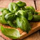 6 x Seeds Genovese Basil Indoor Herb Non GMO Heirloom for Planting