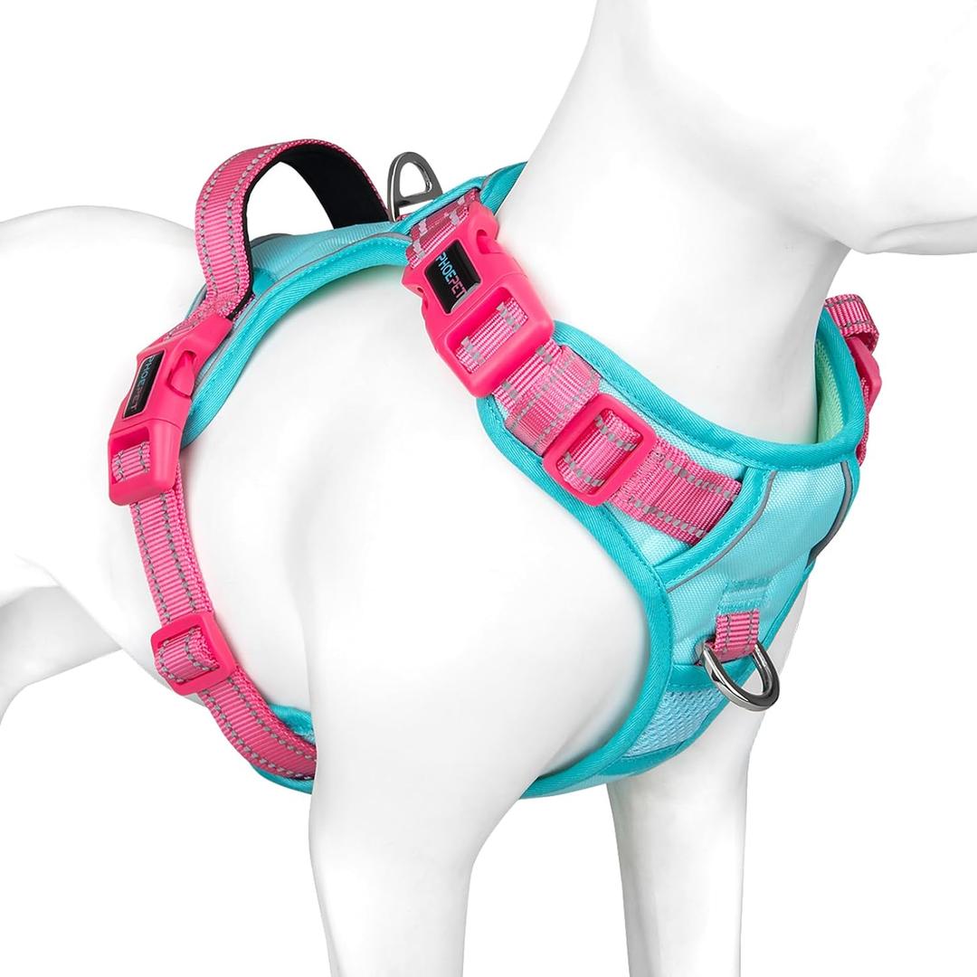PHOEPET No Pull Dog Harness, Unique Colors Reflective Adjustable Dog Vest, with Soft Training Handle Metal Clips for Small Medium Large Dogs (Mint Green Base & Pink Straps,S)