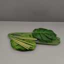 DVGUN 6 Pack Artificial Palm Plants Leaves Faux Turtle Leaf Fake Tropical Large Palm Tree Leaves Imitation Leaf Artificial Plants for Home Kitchen Party Flowers Arrangement Wedding Decorations