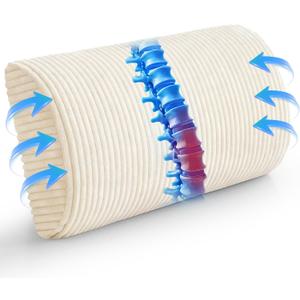 HIGOGOGO Lumbar Support Pillow for Recliner Chair/Accent Chair/Couch, Memory Foam Back Support Cushion for Elderly, Recliner Cushions for Back Rest, Pain Relief, Reading, Washable Cover, Beige