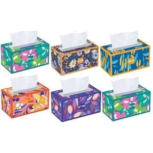 Trusted-Care Facial Tissues, 2-Ply, 6 Big Boxes (230 Tissues per Box, 1,380 Total)  Soft, Strong, and Absorbent  Unscented  Packaging May Vary