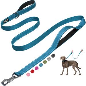 Fida 6 FT Heavy Duty Dog Leash with 2 Comfortable Padded Handles, Traffic Handle & Advanced Easy Snap Hook, Reflective Walking Lead for Large, Medium & Small Breed Dogs, Blue (6 Feet (Pack of 1))