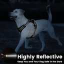 No Pull Dog Harness, Reflective Puppy Vest for  Dog(Black,L)