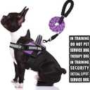 Service Dog Vest Harness and Leash Set, Animire in Training Dog Harness with 10 Dog Patches, Reflective Dog Leash with Soft Padded Handle for Small, Medium, Large, and Extra-Large Dogs (Purple, M)