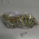 Aquarium Skull Animal Skeletons, Reptile Tank Accessories, Fish Tank Decorations for Amphibians, Betta Fish, Shrimp, Hermit Crab, Leopard Gecko