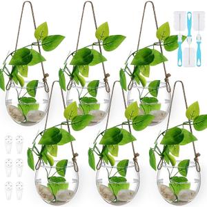Sunnychicc 6 Pcs Wall Hanging Planter Glass Plant Pot Water Terrarium Containers Wall Vases for Flowers Air Hydroponic Propagation Glass Plant Holder Home Room Window Office(Oblate)