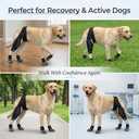 Acaine Dog Rear Leg Support Brace with Anti-Slip Socks – Adjustable for Joint Pain Relief and Recovery, Improves Mobility for Walking & Outdoor Use, Durable Black Size L (ACL Support)
