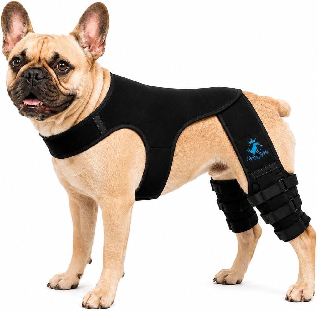 Dog Rear Knee Brace for Small & Medium Breeds, Adjustable Hind Leg Support for ACL/CCL Injury Recovery, Joint Stability, Ligament Protection & Injury Prevention (S)