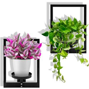 Metal Wall Plant Holder, Wall Planters for Indoor Plants, Heavy Duty Plant Wall Shelf, Vertical Space Saving - for Home, Office, Balcony(2 Pack)