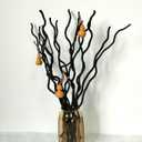 Dried Curly Willow Branches, 21-23 Inch Natural Dried Branch Twigs Decorative Wood Sticks for DIY Crafts, Vases Wedding Home Dcor, Elegant Black