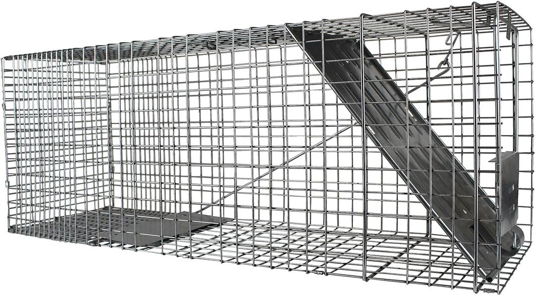 HAVAHART 1079SR Large 1-Door Humane Catch and Release Live Animal Trap Cage - Live Raccoon Trap, for Bobcats, Beavers, Dogs, & More