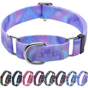 Hikiko Martingale Collar for Dogs with No Buckle Purple Gradient Training Dog Collars for Large Dogs,Tie Dye,L