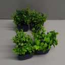 Der Rose 4 Pack Small Fake Plants Artificial Plants Indoor Office Desk Accessories for Aesthetic Room Decor Blue Bathroom Decor