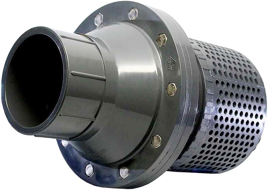 American Valve P430S 4 4 in. PVC Swing Foot Check Valve - Socket Schedule 80