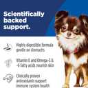 Hill's Science Diet Adult Sensitive Stomach & Skin Small & Mini Dry Dog Food, Chicken, 4 lb. Bag (Updated Formula) (EXP 10/01/27)