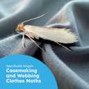 BugMD Clothes & Pantry Moth Traps (6 Count) Sticky Glue Pheromone-Based Repellent for Closets, Cabinets & Wardrobes Non-Toxic - White