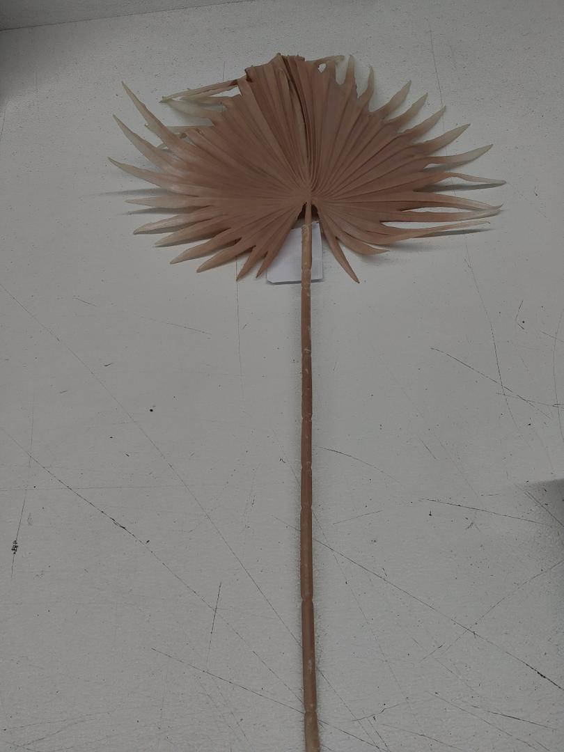 Spring Summer Declaration, 1 Pack