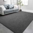 TWINNIS Large Area Rugs for Living Room Bedroom, 4x6 Feet, Super Soft Indoor Thickened Memory-Foam Carpets Easy-Cleaning, Modern Aesthetic Minimalist Comfy Rug for Kids Room Home Decor, Dark Grey
