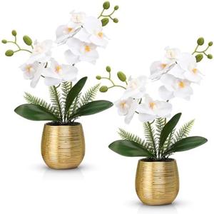 Juinte 1 Pcs Orchids Artificial Flowers in Gold Ceramic Vase 13'' White Fake Flowers Phalaenopsis Faux Orchid for Home Office Wedding Party Dining Room Table Centerpiece Decoration Juinte 1 Pcs Orchids Artificial Flowers in Gold Ceramic Vase 13'' White Fake Flowers Phalaenopsis Faux Orchid for Home Office Wedding Party Dining Room Table Centerpiece Decoration