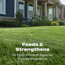 Scotts Turf Builder Lawn Food - Fertilizer for Grass, for All Grass Types, 15,000 sq. ft., 37.50 lb.