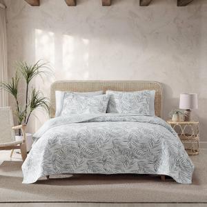 Tommy Bahama - King Quilt Set, Reversible Cotton Bedding with Matching Shams, Tropical Super Soft Bedding Set (Palmday Grey, King)