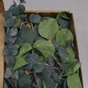 Juexica Fall Artificial Eucalyptus Wall Hanging Boho Decor with LED Light Bedroom Wall Farmhouse Nursery Decor with LED String Lights for Fall Home Office Bathroom Kitchen(Green)