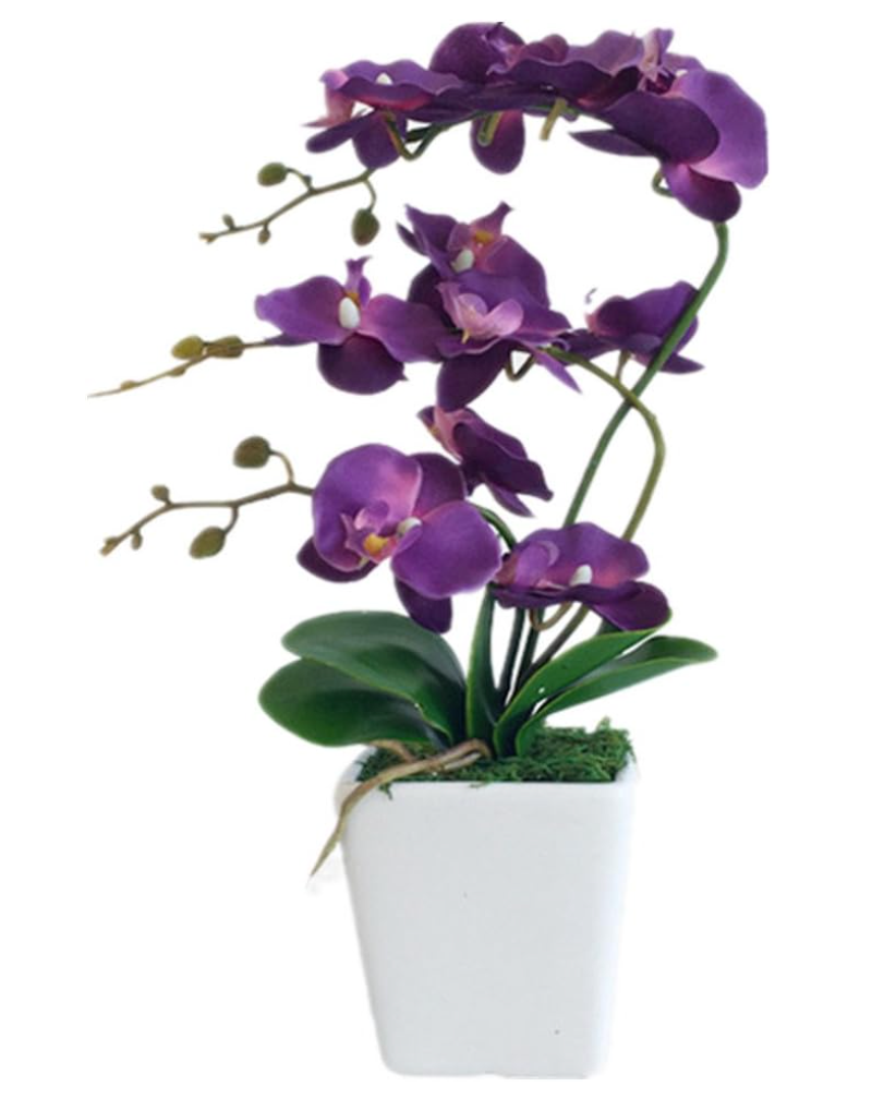 YSZL 15" Tall Artificial Silk Phalaenopsis Orchid Flower Plant Pot Arrangements (Dark Purple)