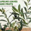 Timoo Faux Olive Tree Olive Trees Artificial Indoor with White Planter (5 FT)