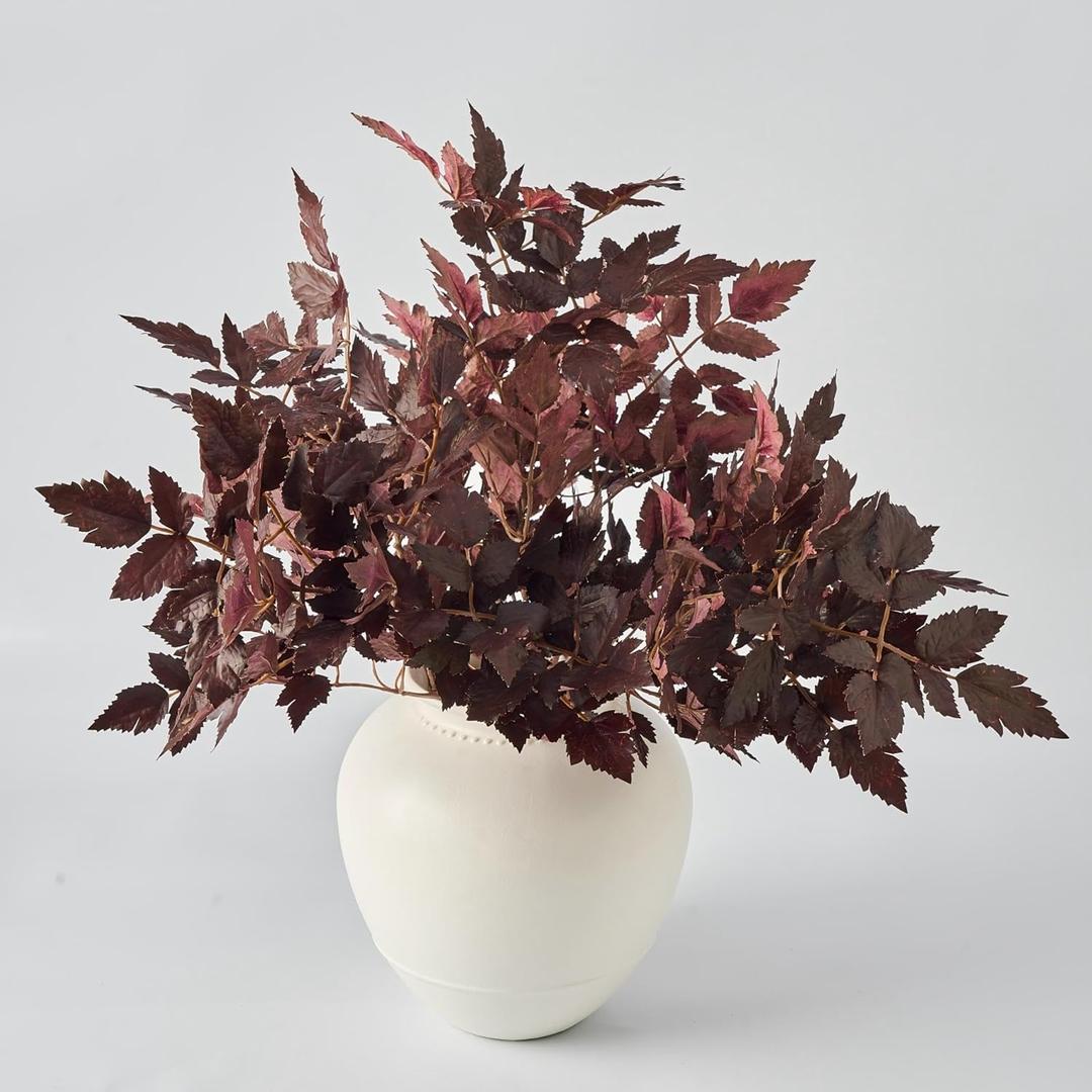 Avoeco
Artificial Branches for Vase, 5Pcs Faux Stems Greenery Plant Stems for Vase, Cimicifuga Plant Leaf Spray,Plum Ramosa Fall Branches for Home Shop Office Decor (Plum Cim, M)