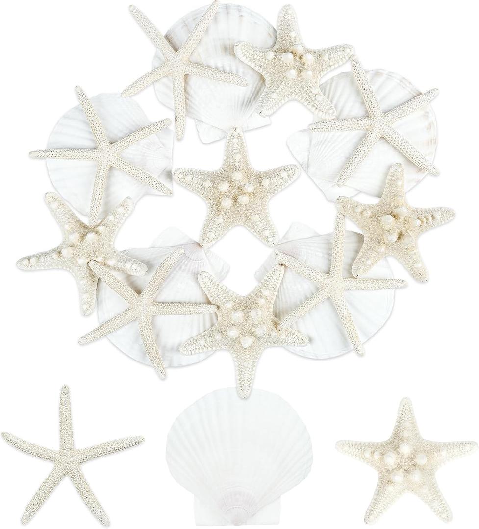 15 PCS Starfish and Scallop Shells, 2"-4" Natural Seashells White Seashells Large Seashells for Crafts Wedding Decor Beach Theme Party, Fish Tank and Vase Filler