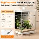 3 Gallon Smart Aquarium Kit, APP Control, Auto Feeder, LED Light, Self-Cleaning Filter, Glass Desktop Tank for Betta/Tetra/Goldfish, Dual-Tank Feeding Supported, Divider Not Included