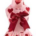 Dog Velvet Dress Turtleneck Pink Puppy Skirt Costume Valentines Day Love Pet Out