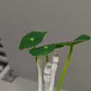 Sensor Led Night Light, Color Changing Plug-in LED Mushroom Dream Bed Lamp