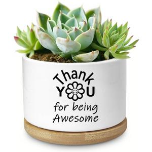 Thank You Gifts for Women, Succulent Planter, Flower Cactus Plant Pot, Employee Appreciation Gifts for Coworkers Nurse Friends Women, Thank You for Being Awesome (No Plants)