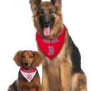 Pets First RSX-3217-S-M MLB Dog Bandana - Boston Red Sox Reversible Pet Bandana, Small/Medium, MLB Team Color