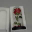 Norcalway Premium Rose in Glass Dome with 6hr Timer - Birthday Gifts for Women, Mom from Daughter, Son, Kids - Beauty and The Beast Rose in a Glass Dome for Decorations