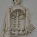 JIALWEN 36" Halloween Posable Skeleton Decorations, 3FT Realistic Plastic Human Full Body Bones with Movable Joints Skeleton for Haunted House Graveyard Props Indoor Outdoor Halloween Party Supplies