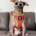EcoBark Small Dog Harness - Luxury Soft Step in Reflective Ultra Padded Mesh Dog Harnesses for Toy Breed Dogs - Comfortable & Secure Body Halter Pet Vest (Small, Watermelon)