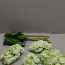 21" Real Touch Green Hydrangea Artificial Flowers with Long Stem & Leaves, Full Latex Faux Hydrangea Flowers for Home Decor Party Floral Arrangements Wedding Bouquets Centerpieces, 4Pcs