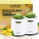 2 Pack Artificial Succulent Plants with Subtle Lemon, Faux Indoor Plants for Home Decor, Small Fake Plant for Bathroom, Bedroom, Office Decor, Aesthetic Room Accessories, Housewarming Gift