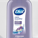 Dial Body Wash, Calm & Soothe Lavender & Jasmine Scent, 23 fl oz, Pack of 1
