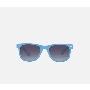 Carve 4340 Leni Gloss Aqua Blue Grey POL Lens