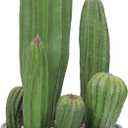 Artificial Cactus 16inch Faux Cactus Fake Cactus Potted Plants for Indoor Outdoor Home Offices Store Decor